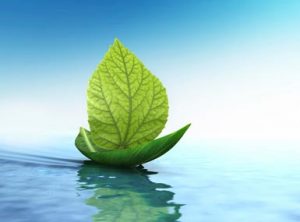 یون منفی چیست